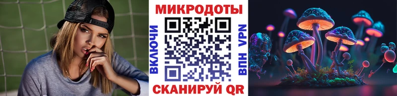 OMG зеркало  Новопавловск  Псилоцибиновые грибы Cubensis  купить наркоту 