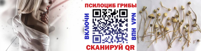 Галлюциногенные грибы прущие грибы Новопавловск